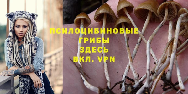 наркотики Абаза