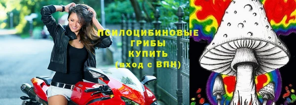 МДПВ Пересвет